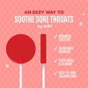 The Eez Co. Lolleez Organic Throat Soothing Pops - Watermelon, Strawberry & Orange Mango - 15ct - 4 of 4