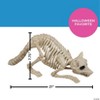 7 3/4" Raccoon Skeleton Plastic Outdoor Halloween Decoration - 3 of 3