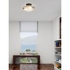 Livex Lighting Oasis 3 - Light Semi-Flush Mount in  Bronze - 2 of 4