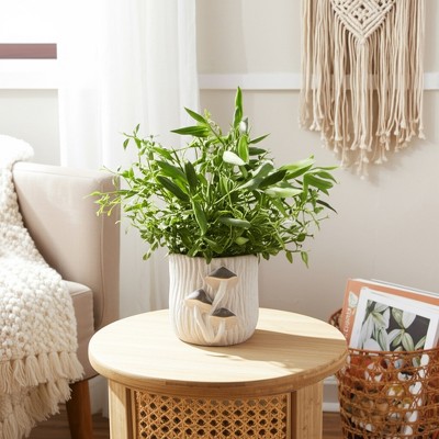 Handcrafted Cement Planter with Textured Tree Trunk Design and Mushroom Accents - Decorative Pot for Indoor and Outdoor Spaces