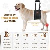 Adjustable Lift Harness for Large Dogs – Soft Hind Leg Support Sling for Dogs Weighing 55-100 lbs - 3 of 4