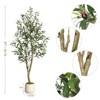 5FT Faux Olive Tree Tall,Olive Trees Artificia Indoor with White Planter - 2 of 4