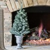 King Of Christmas 3ft Pre-Lit Blue Spruce Artificial Christmas Tree, Tribeca Tabletop Christmas Tree with Lights - 4 of 4