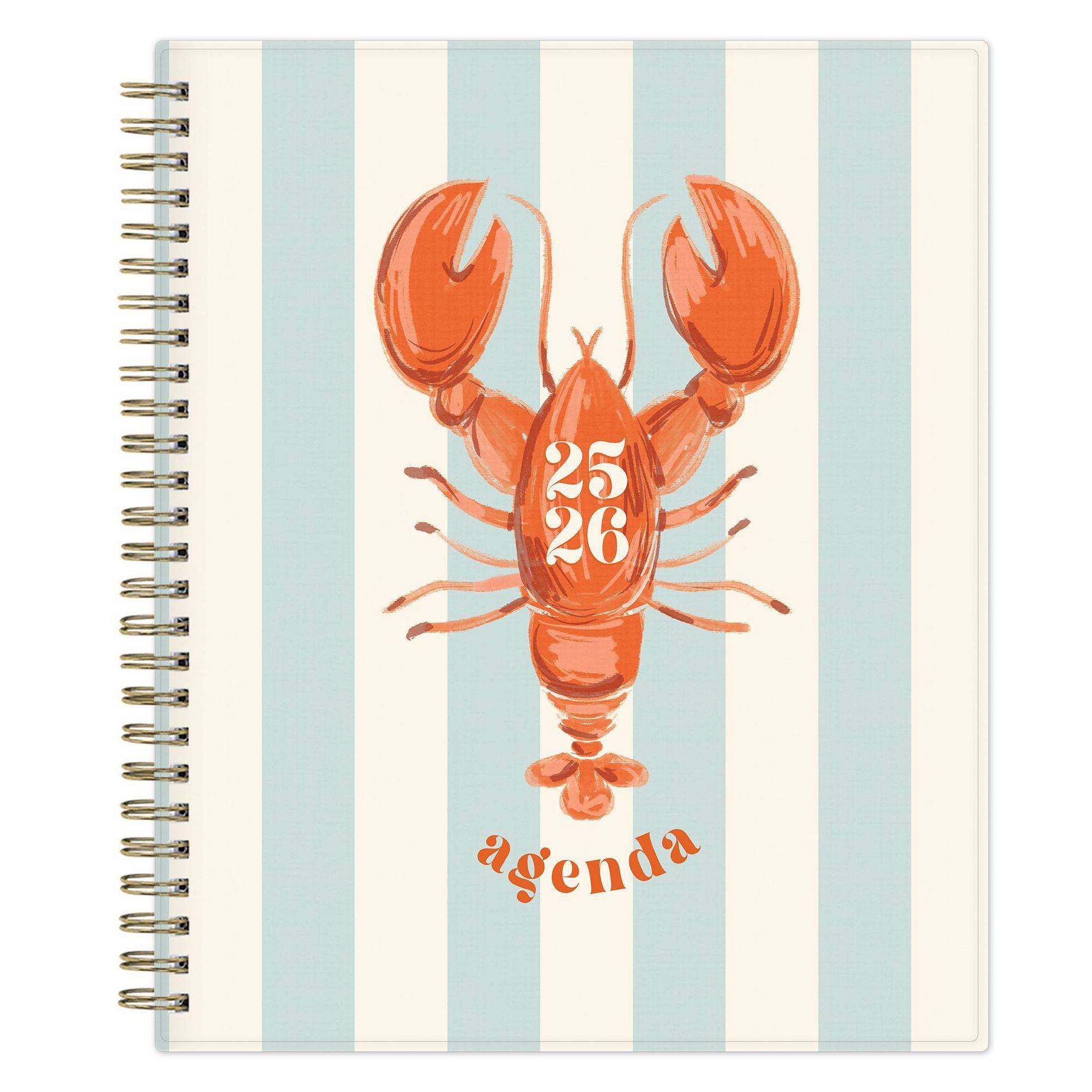 Blue Sky 7"x9" 2025-2026 Weekly/Monthly Wirebound Planner Clear Cover Langostino Stripe