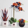 Forever Leaf Auburn Artificial Snake, Orchid and Hydrangea Plants 3-Pack Bundle, Indoor Artificial Plant for Home Decor - 4 of 4