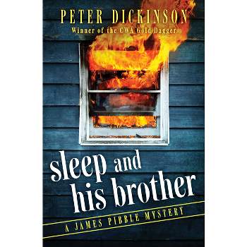 Sleep and His Brother - (James Pibble Mysteries) by  Peter Dickinson (Paperback)
