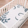 NoJo Explore Dream Discover Light Blue, Navy, and White Octopus 100% Cotton Nursery Photo Op Fitted Crib Sheet - 3 of 4