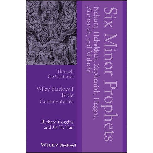 Six Minor Prophets Through The Centuries - (wiley Blackwell Bible ...