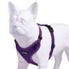 Voyager Step-In Lock Adjustable Dog & Cat Harness for All Breeds, Breathable Mesh, Purpule, XS - 4 of 4
