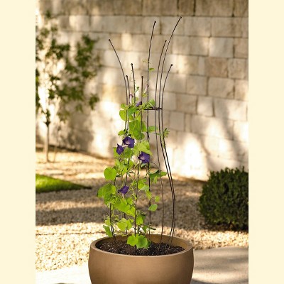 Decorative Metal Pot Trellis - Gardener's Supply Company