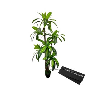 Cypress & Alabaster | Handmade 6' Artificial Dracaena Tree In Home Basics Starter Pot Made With Real Wood And Moss Accents - 1 of 4