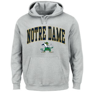 NCAA Notre Dame Fighting Irish Men's Big & Tall Gray Hoodie - 1 of 3