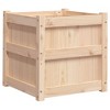 vidaXL Garden Planter 19.7"x19.7"x19.7" Solid Wood Pine - 2 of 4