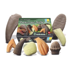 Yellow Door Let's Investigate – Prehistoric Teeth, Set of 8 - 1 of 4