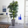 Nearly Natural 7-ft Golden Cane Artificial Palm Tree in Cement Planter - 2 of 2