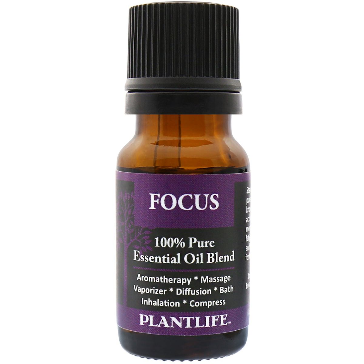 Plantlife Focus Essential Oil Blend – 100% Pure & Therapeutic Grade – Natural, Undiluted – No Additives or Fillers – Made in USA – 10ml Aromatherapy