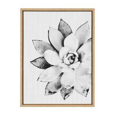 Modern Succulent Black and White Canvas Print with Natural Frame