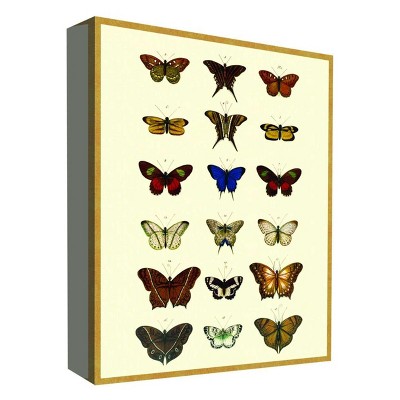 11" x 14" Butterfly Collection I Decorative Wall Art - PTM Images