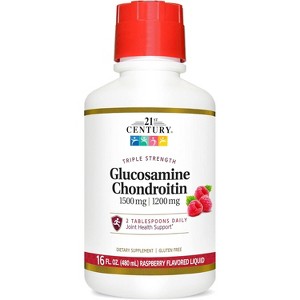 21st Century Glucosamine Chondroitin 3X, Liquid – Raspberry Flavor, 16 fl oz - 1 of 4