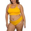 Curvy Couture Women's Mesh High Cut Brief Panty Sunset Glow - 2 of 4