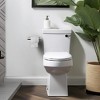 PROOX UrbanElegance Collection Wall-Mount Adhesive Toilet Paper Holder - 2 of 4