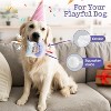 Dog Happy Birthday Cake Toy with Squeaker and Crinkle, Stuffed Plush Puppy Present for Birthday Party, Dog Toy for Small Medium - 4 of 4