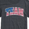 Men's - Instant Message - Team USA Flag Short Sleeve Graphic T-Shirt - 2 of 4