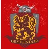 Boy's Harry Potter Gryffindor Quidditch Coat of Arms T-Shirt - image 2 of 4