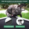 FXW TitanNest Cooling Chew-Proof Elevated Dog Bed, Washable Raised Cot for Indoor/Outdoor/Camping Use, Waterproof & Durable Pet Bed - 2 of 4
