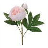 Peony Floral Spray (Set of 6) - 3 of 4