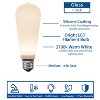 Festive Living G125 + LED Filament Outdoor Covered Patio Pendent Edison Replacement Bulbs, Warm White 2700K, E26 Medium Base - 2 of 4