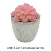 Unique Bargains Artificial Plants Flocked Mini Echeveria in Pulp Plastic Red 2.36"x2.36"x3.35" 1 Pcs - 3 of 4
