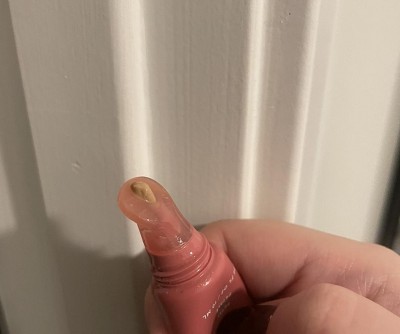 Guest review image 1 of 1, zoom in