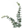 Monarch Specialties Artificial Plant 44 inch Tall Eucalyptus Tree Indoor Faux Fake Floor Greenery Potted Real Touch Decorative Green Leaves Black Pot - 4 of 4