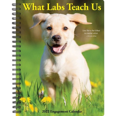 2022 Engagement Calendar What Labs Teach Us - Willow Creek Press