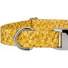 Country Brook Petz Premium Dog Collar - Spring Collection - 4 of 4