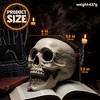 Joyfy Halloween Skeleton Decorations 7.5" Plastic Skull Human Head Bone Indoor Outdoor Decor Spooky Scene Party Favors Haunted House Graveyard Props - 2 of 4