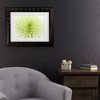 Trademark Fine Art - Cora Niele Lime Light Spider Mum Matted Framed Art - 2 of 4