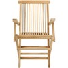 Marcus Teak Folding Arm Chair Indoor/Outdoor (Set Of 2) - PAT6601 - Natural - Safavieh - image 2 of 4