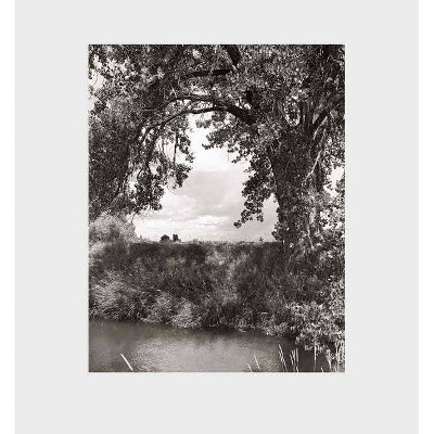 Robert Adams: Cottonwoods - by  Joshua Chuang (Hardcover)