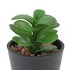 Unique Bargains Artificial Plants Plastic Green 2.76"x2.76"x3.54" 1 Pcs - 4 of 4