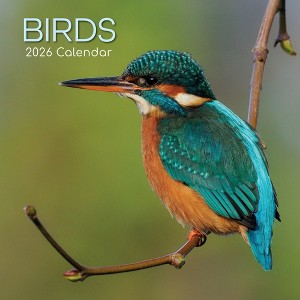 2026 Square Wall Calendar, Birdsong Family, 16-Month Organizer Theme with 180 Reminder Stickers (12x12 In) - 1 of 4