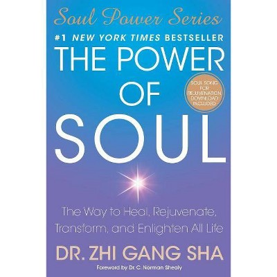 The Power of Soul - (Soul Power) by  Zhi Gang Sha (Paperback)