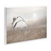 Stupell Industries Windblown Farm Grasses, 10" x 15" - 3 of 4