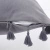 2 Pieces Tassels Velvet Throw Pillow Covers - 3 of 4