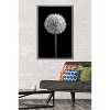 Trends International Tom Quartermaine - Black and White Dandelion Framed Wall Poster Prints - 2 of 4