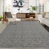 Washable Modern Textured Solid Rug Non Slip Low Pile Rug Soft Contemporary Throw Floor Cover Foldable Indoor Carpet for Living Room Bedroom - 2 of 4
