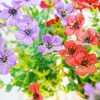 6 PCS Mason Jar Centerpiece for Table, Farmhouse Coffee Table Decor with Colorful Daisy & LED Lights, Summer Decoration For Kitchen Living Bathroom - 4 of 4