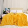 PiccoCasa Flannel Fleece Pompom Fringe Soft Plush Lightweight Blankets - 4 of 4