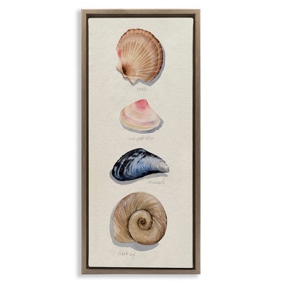 Stupell Industries Traditional Nautical Sea Shells, 11" x 25"